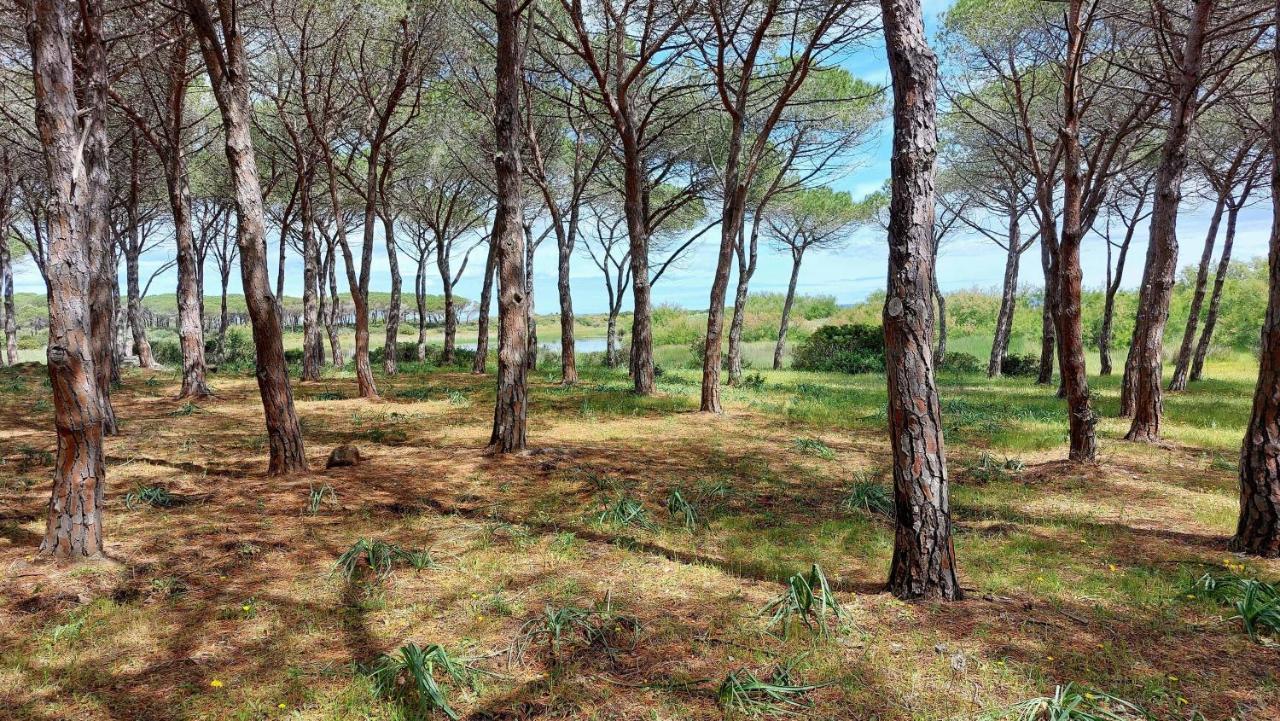 Vila Residenze Pedrame Budoni Exteriér fotografie